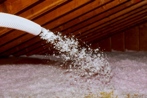 Best Residential Insulation in Winnebago, MN