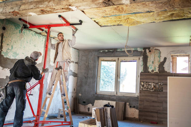 Best Insulation Installation Services in Winnebago, MN