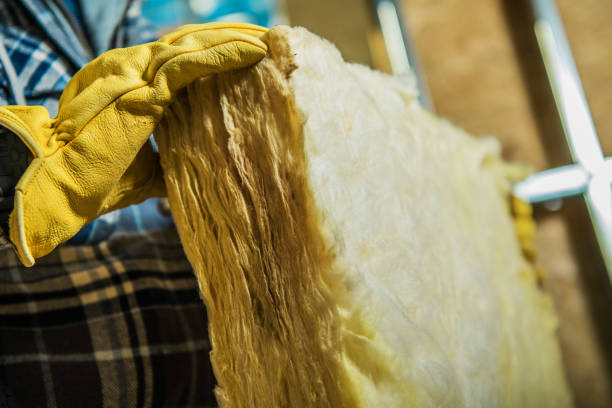 Best Residential Insulation in Winnebago, MN