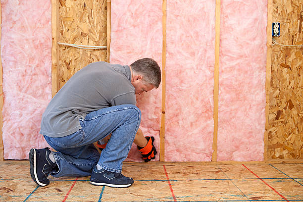 Best Types of Insulation in Winnebago, MN